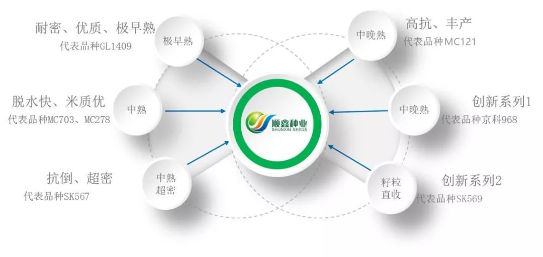 产学研相结合、育繁推一体化,开创现代种业科企共生新模式!